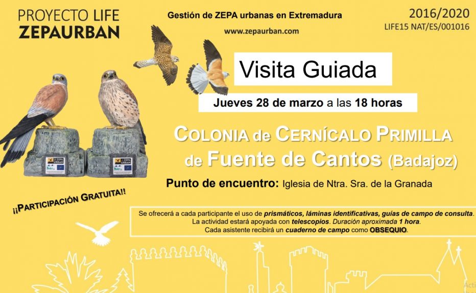 Visita Guiada Colonia Cernícalo Primilla
