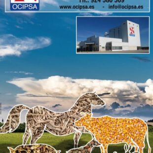 OCIPSA SIGLO XXI SL