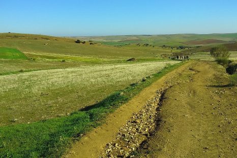 Catálogo de Caminos Públicos, elaborado<br>por la Consejería de Medio Ambiente y Rural, Políticas Agrarias y Territorio