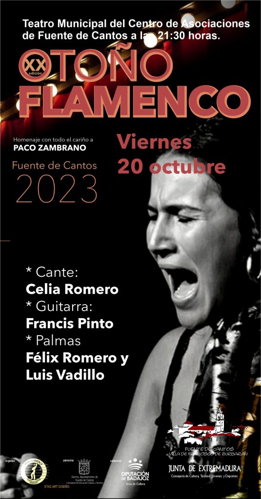 Flamenco St art DISEÑO 2